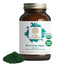 PURE SYNERGY Blue-Green Algae Powder | Superfood Powder with Chlorophyll | Organic AFA Blue Green Algae Supplement | Supports Energy, Mental Clarity, and Detoxification (3.2 oz.)