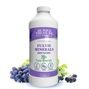Trésor enseveli Minéraux Fulvic Aromatisés au raisin – Minéraux colloïdaux de l'acide Fulvic humique, Electrolytes de Trace Minerals pour la récupération et le bien-être. Ajouter à l'eau – 32 portions