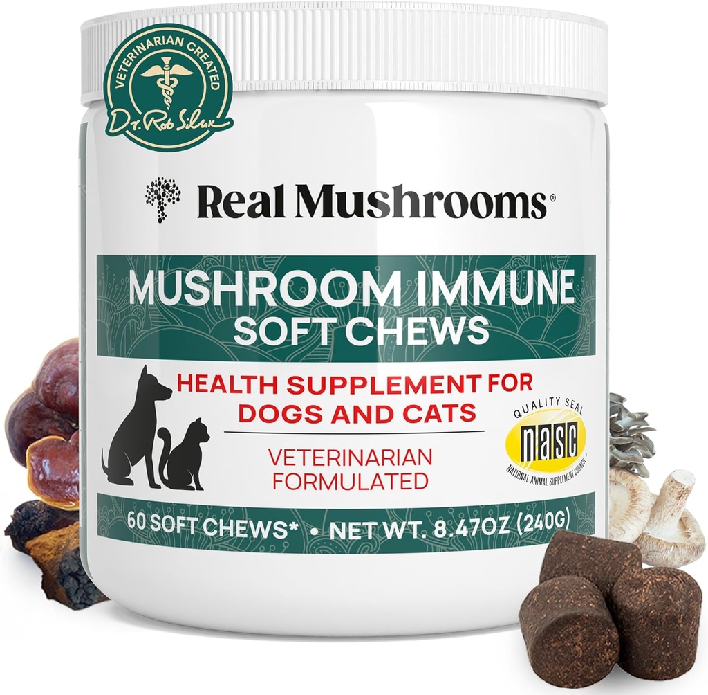 Véritables Mushroom Imune Pet Chews – Pour la santé quotidienne digestive et immunitaire – Champignons pour chiens et chats Traitement fonctionnel – Supplément de champignons pour chiens et chats – 1 à 4 Chews pour toutes les races et tailles (60 Nombre)