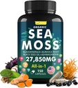Complexe de capsules de mousse de mer avec huile de graines noires, Aşhwagandha, racine de Burdock, supplément multiminéral de vitamines de bladderwrack Ginger - Irish Wild Seamoss Pills Advanced Blend pour les hommes et les femmes (150 capsules)