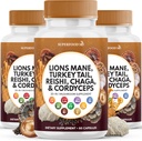 Lions Mane Champignon Supplément avec la dinde Tail Reishi Cordyceps Chaga avec la racine Marshmallow - 180 Comte