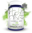 Nootropics Dépôt Magtéin Magnesium L-Thréonate Capsules de 90 Count.