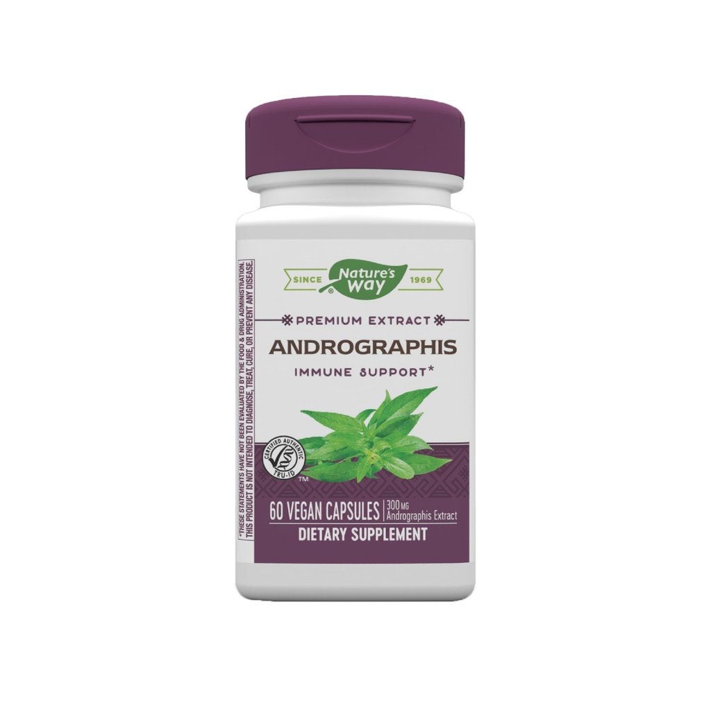 Nature's Way Extrait Premium Andrographis, Immune Support*, 300 mg Andrographis Extrait par portion, 60 Capsules