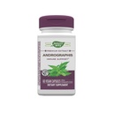 Nature's Way Extrait Premium Andrographis, Immune Support*, 300 mg Andrographis Extrait par portion, 60 Capsules