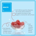 Consultez Santé Regenerol - Multivitamin Retinol Gommy - Supplément anti-Aging vitamine A - Glowing, jeune et clair peau cheveux et ongles forts - Vitamine B6, B12, C,D3, acide folique, zinc - 60 Gommies