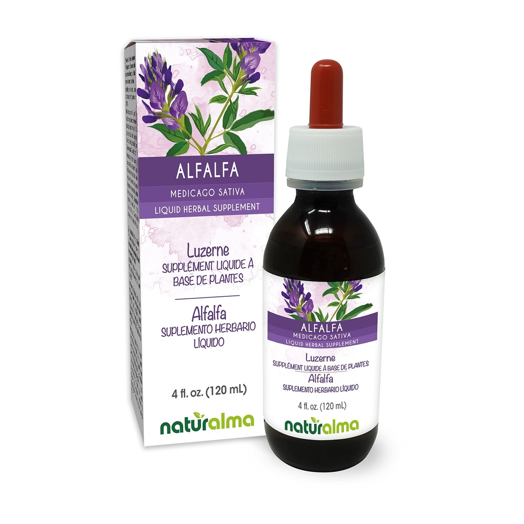 Naturalma Alfalfa ou Lucerne (Medicago Sativa) herbe avec fleurs Teinture sans alcool - Riche en chlorophylle naturelle - 4 fl oz extrait liquide dans les gouttes - supplément à base de plantes - végétalien