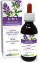 Naturalma Alfalfa ou Lucerne (Medicago Sativa) herbe avec fleurs Teinture sans alcool - Riche en chlorophylle naturelle - 4 fl oz extrait liquide dans les gouttes - supplément à base de plantes - végétalien