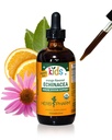 Herb Pharm Kids Extrait liquide d'échinacée sans alcool certifié, sans alcool, 4 oz