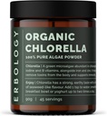 Erbologie Poudre de Chlorelle biologique 3,2 oz - 45 portions - Source durable en Espagne - Nettoyage corporel et soutien immunitaire - Riche en chlorophylle, en vitamine B, en fer et en phosphore - végétalien - sans OGM