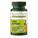 Support mixte Banyan Botanicals – Complément organique avec la résine Turmère, Amla & Guggulu – pour des articulations saines et un mouvement confortable* – 90 comprimés – non OGM, source durable, végétalien
