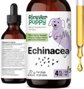 Des gouttes d'échinacée pour les chiens - Immunity Support & Respiratory Health w/Echinacea Herb Extract - Liquid Imune Support Supplément pour les chiens de toutes races et tailles - 4 oz
