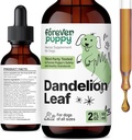 Des gouttes de dandelion pour les chiens - Supplément liquide pour la santé rénale pour les chiens grands, moyens et petits - Nettoyer les gouttes de détox avec les feuilles de dandelion Teinture - 2 oz