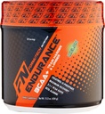 Endurance BCAA Plus, conçue pour l'entraînement plus dur et plus long avec Beta Alanine, Melon, 434 Gram