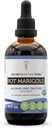 Secrets of the Tribe Pot Marigold USDA Organic..Extrait sans alcool, gouttes à base de plantes de haute puissance.Fabriqué à partir d'un pot biologique 100% certifié Marigold (Calendula, Calendula Officinalis) Fleur séchée (4 oz)