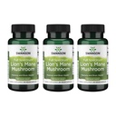 Swanson Lion's Mane Mushroom - Supplément pour booster le cerveau traditionnel à partir d'Héricium Erinaceus (60 capsules, 500mg chacune) 3 Pack