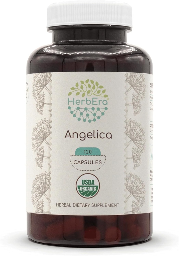 HerbEra Angelica USDA Organic 120 Capsules (Angelica archangelica) Graines séchées (120 Capsules)