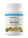 Institut éclectique Uva Ursi