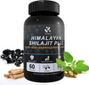 Shilajit Himalayan Supplément 60% Acide Fulvic, 120 Capsules Vegan Approvisionnement avec Pure Natural Shilajit, Ashwagandha, Extrait de Ginseng - High in Trace Minerals for Men Energy Support