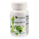 Astragaloside IV 98% 50mg 30 Capsule Anti-Aging DNA Cell Telomere Astragalus Root Suppléments