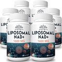 1600 mg Supplément NAD liposomique, Supplément NAD+ pur à 98%, Absorption supérieure, Alternative au riboside de nicotinamide ou NADH pour stimuler NAD+ pour la défense du vieillissement, énergie, longévité, 360 Softgels