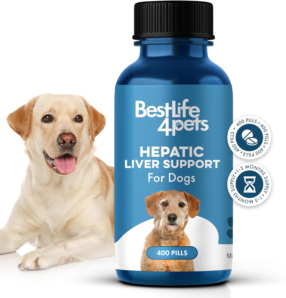 Support hépatique hépatique pour chiens, supplément homéopathique digestif homéopathique dissolvable pour le détox et l'absorption des nutriments, 100% naturel, facile à donner, sans produits chimiques ou additifs, 400 pilules