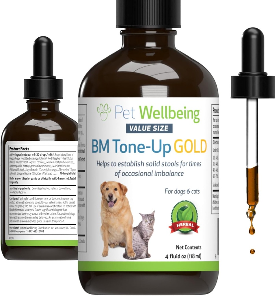 Bien-être des animaux BM Tone-Up Or pour les chiens et les chats - Soutient une fonction digestive saine, des tabourets solides, des mouvements normaux de Bowel, Bayberry - Vétérinaire-formulé supplément à base de plantes 4 oz (118 ml)