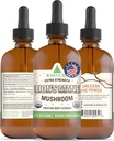 Teinture de champignons de la Mane de Lion RawGuru - Extrait de la Mane de Lion végétalien avec des minéraux traces - Supplément immunologique et cognitif nanoprocessé - 120 portions de gouttes végétaliennes par 120 ml, paquet de 1