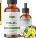 Teinture de Mullein – gouttes de Mullein biologique pour le soutien pulmonaire et le bien-être respiratoire – Fabriqué aux États-Unis – 2 Fl Oz