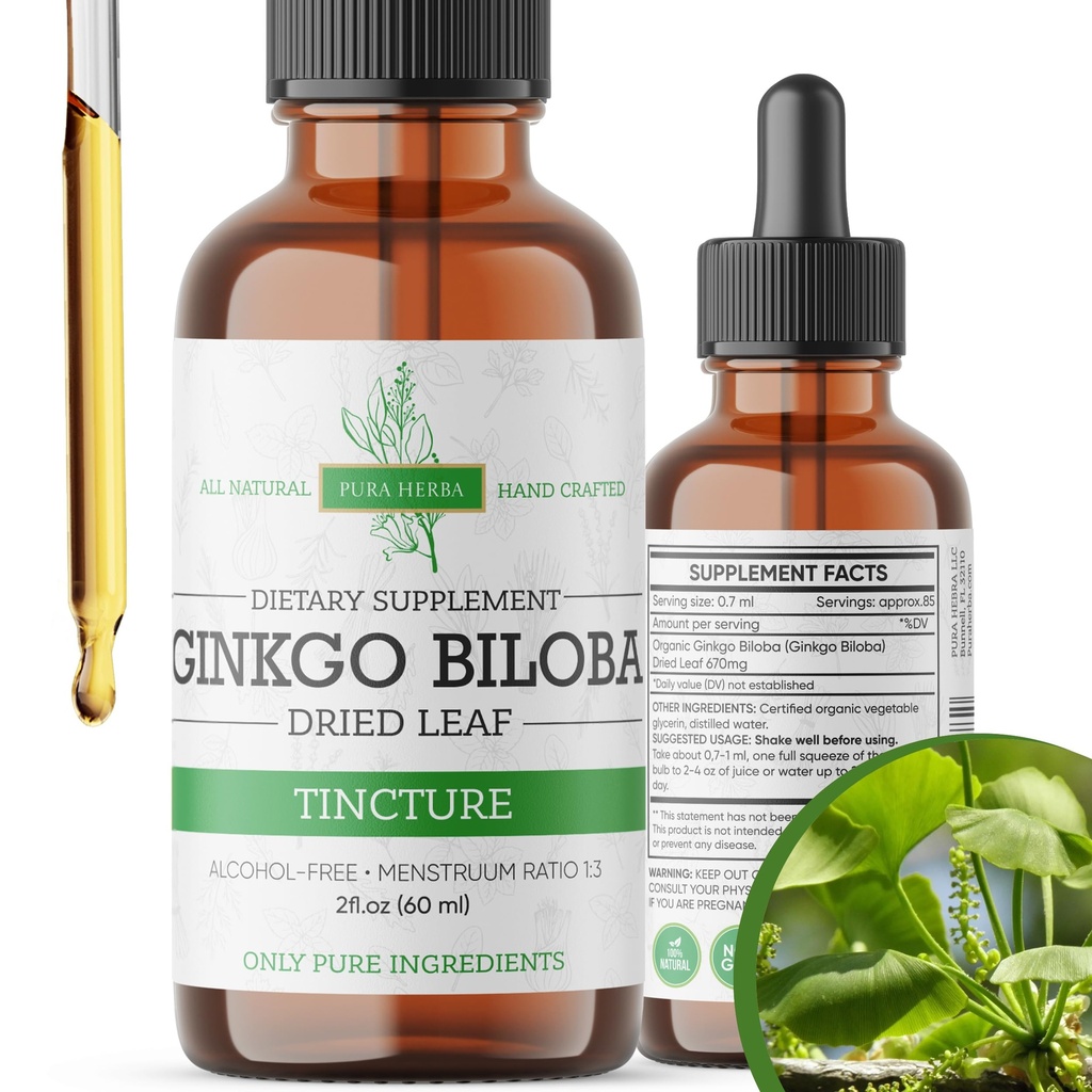 Ginkgo Biloba extrait liquide 2 Fl Oz, suppléments pour la fonction cérébrale et le soutien mémoire, sans alcool, végétalien - 2 Fl Oz