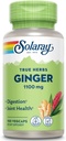 SOLARAY Ginger Root 1100mg | Healthy Digestion, Joints and Motion & Stomach Discomfort Support | Whole Root | Non-GMO & Vegan | 100 VegCaps