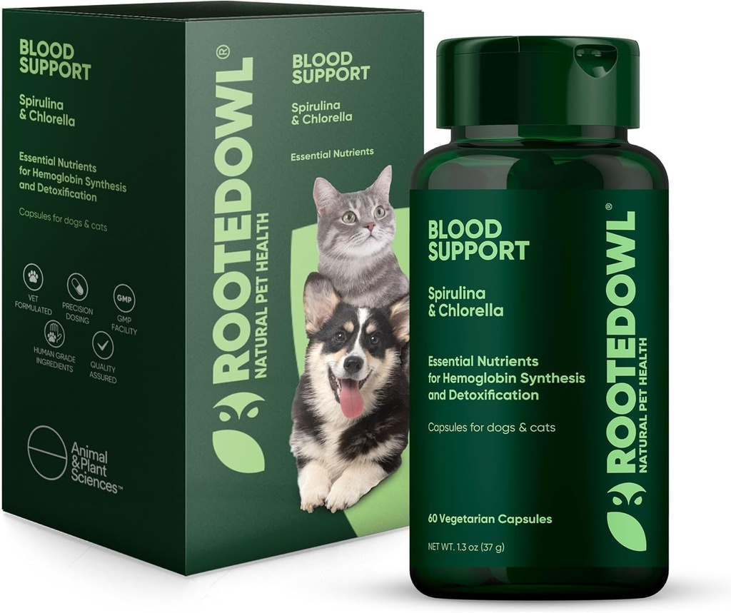 Soutien sanguin à la Chouette Racine - Immunité, récupération et supplément de fer pour chiens et chats - Soutien à l'anémie avec Spiruline et Chlorella - 60/ct Capsules Vegan