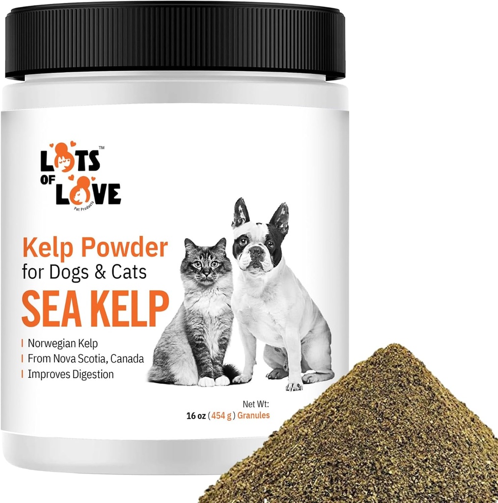 Poudre de Kelp pour chien et chat - Supplément biologique de Kelp en poudre (16 Oz, 1 Livre)