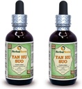 Yan Hu SUO (Corydalis Ambigua) Glycerite, Dried Roots Alcohol-Free Liquid Extract (Brand Name: HerbalTerra, Proudly Made in USA) 2x2 fl.oz (2x60 ml)