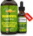 Chlorophyll Liquid Drops 100% Organic Vegan - Supplément de booster du système d'énergie et d'Immune avec saveur de menthe pour l'eau - Désodorisant interne naturel - Extra Strength 6000mg 120 Servants