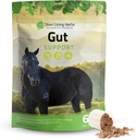 Linge d'Argent Gut Support Suppléments Chevaux - Gut Santé & Supplément Digestion pour Chevaux - Potent Digestion Support Mélange d'herbes de réglisse, d'Elm et plus - 1 lb 60 jours d'approvisionnement