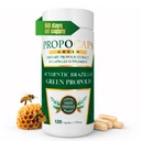 Beelife Green Propolis Capsules- Supplément 100 % Green Propolis et Bee Pollen Capsule- Extrait Propolis, Brésilien authentique - certifié ISO 22000, Kosher (120 Capsules)