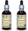 Shankhpushpi, Horseshoe Vitex (Convolvlus Pluricaulis) Extrait liquide d'herbes séchées entières (Marque: HerbalTerra, Fièrement fabriqué aux États-Unis) 2x2 oz