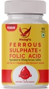 Sulfate de fer de Hoag 65mg avec supplément de calcium et d'acide folique Support de la production de cellules sanguines rouges - 90 comprimés de veg