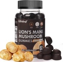 Lions Mane Champignon Gommies pour Supplément Cerveau Nootropique, Immune Support,Stres Relief Champignon Supplément Berrry Flavor 60 Comte
