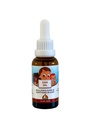 Punkin Butt Baby Ear Oil | Organic Garlic, Mullein, Calendula Ear Drops Safe for Infants (1 oz)