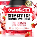 Monohydrate de créatine Gommies pour hommes et femmes 5000mg Monohydrate de créatine par service pour le soutien musculaire Énergie Boost 120 Comte Chewable 5g Supplément de créatine Vegan sans sucre (1 Pack, Fraise)