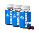 Ashwagandha Gummies Mixte Berry KSM-66, Lion's Mane, Vitamine-D, Non-OGM, Sans gluten, Sans gélatine & Kosher (180 comte (paquet de 3))