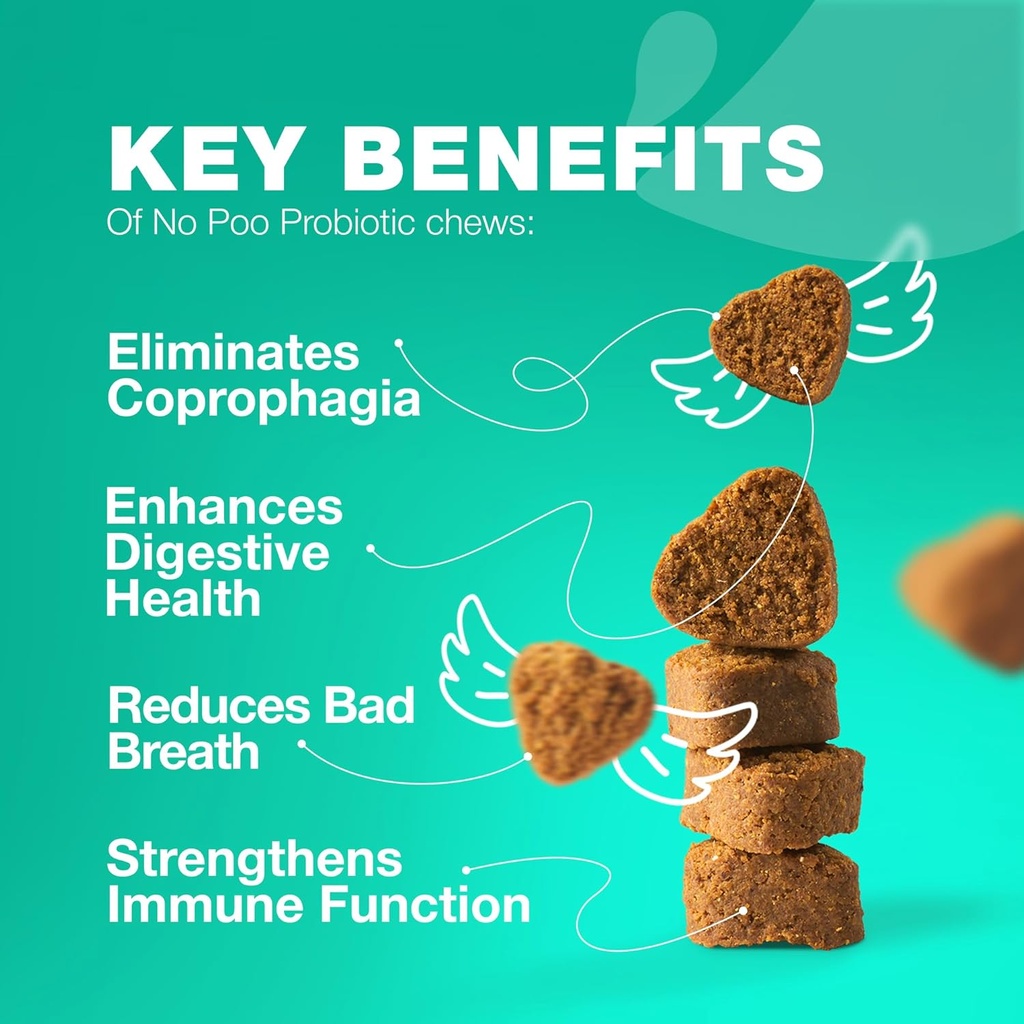 No Poo Chewables pour chiens - Enzymes, probiotiques pour chiens pour la santé digestive - Canine Digestive, Gut & Supplément santé immunitaire