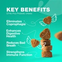 No Poo Chewables pour chiens - Enzymes, probiotiques pour chiens pour la santé digestive - Canine Digestive, Gut & Supplément santé immunitaire