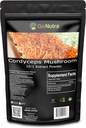 Poudre de champignons Cordyceps Extract 30 % de polysaccharides Poudre pure Cordycep non OGM 8 oz (225 grammes)