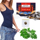 Efficace remède ancien Pellets Belly santé, Mugwort Navel Sticker, Wormwood Belly Button Patch, Pellet de taille à base de plantes pour les femmes et les hommes