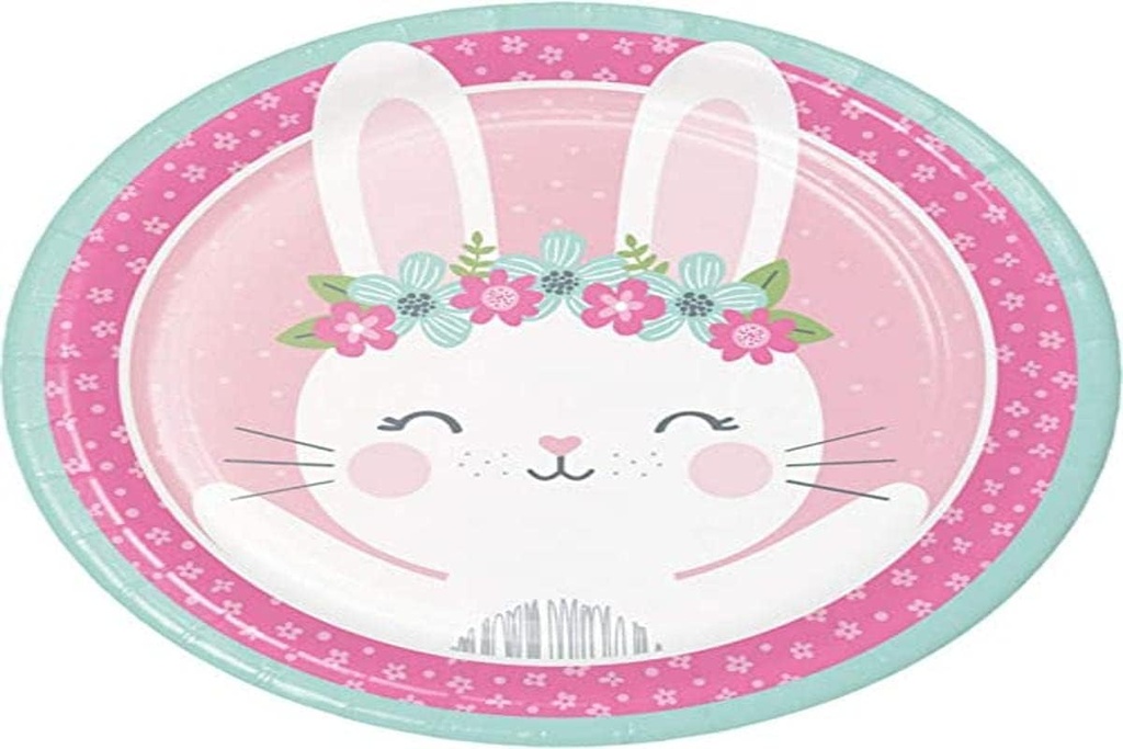 Fournitures de groupe de conversion créative, Plaques de soirée de lapin, Dîner en assiette, Multicolore, 8.75", 8ct