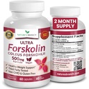 Ultra Pure Forskolin pour la prise en charge du poids Force maximale Coleus Forskohlii Poudre d'extrait de racine, supplément de maigre standard 40 % pour les hommes et les femmes
