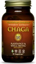 HealthForce Superfoods Integrity Extraits Chaga – Capsules - 90 Capsules Vegan