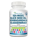 Mousse de mer pour chiens 750mg Huile de graines noires 500mg Ashwagandha 250mg Turmère 250mg Bladderwrack 250mg Dandelion 250mg et vitamine C Vitamine D3 avec Elderberry Manuka Yellow Dock 90 comprimés